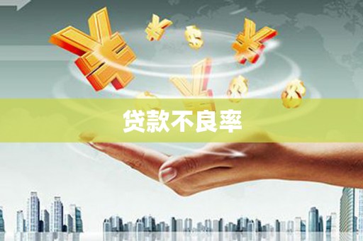 施秉贷款不良率
