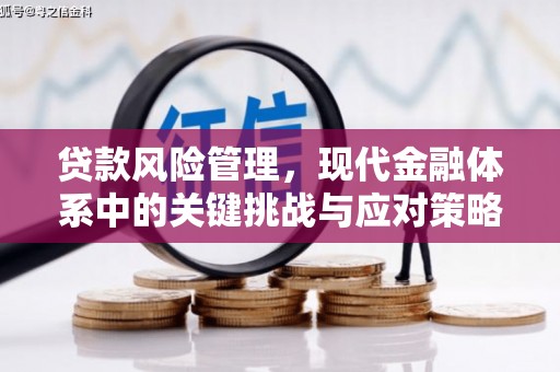 施秉贷款风险管理，现代金融体系中的关键挑战与应对策略