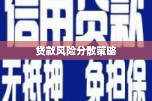 施秉贷款风险分散策略