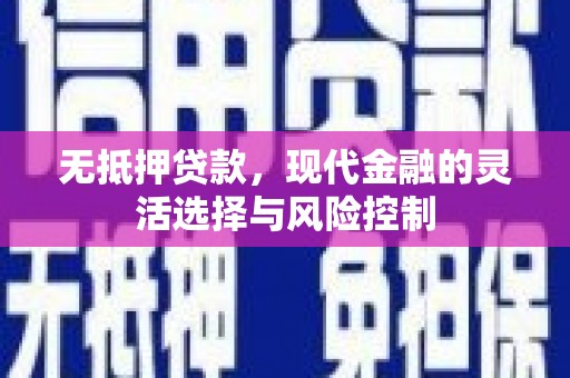 施秉无抵押贷款，现代金融的灵活选择与风险控制