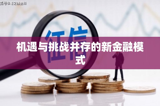 施秉机遇与挑战并存的新金融模式