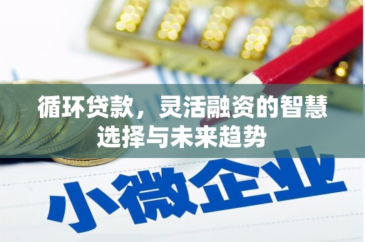 施秉循环贷款，灵活融资的智慧选择与未来趋势