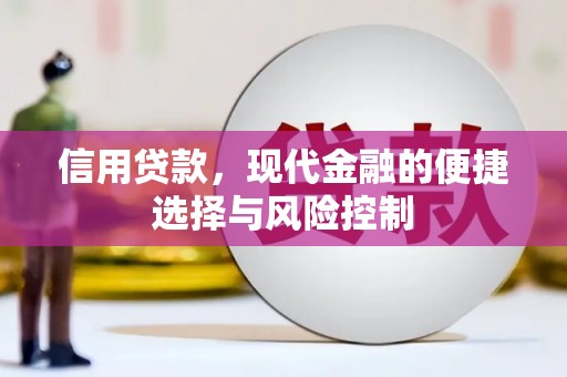 施秉信用贷款，现代金融的便捷选择与风险控制
