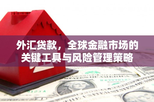 施秉外汇贷款，全球金融市场的关键工具与风险管理策略
