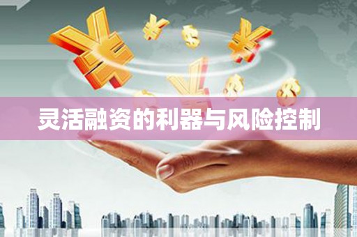 施秉灵活融资的利器与风险控制