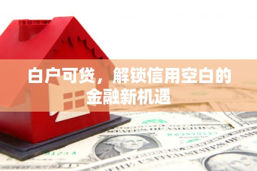 施秉白户可贷，解锁信用空白的金融新机遇