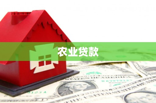 施秉农业贷款