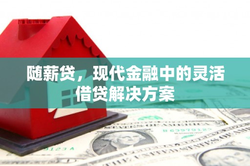 施秉随薪贷，现代金融中的灵活借贷解决方案