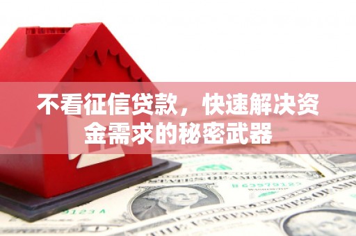 施秉不看征信贷款，快速解决资金需求的秘密武器