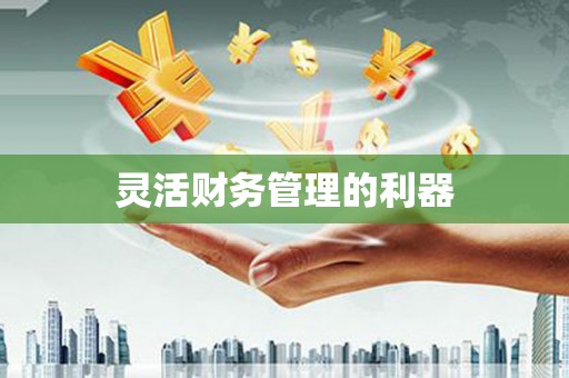 施秉灵活财务管理的利器