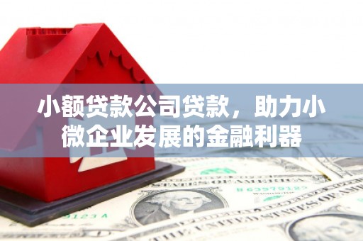 施秉小额贷款公司贷款，助力小微企业发展的金融利器