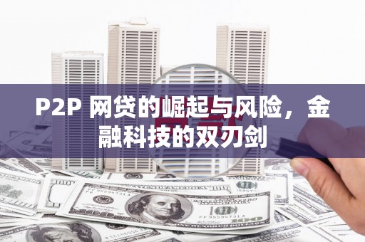 施秉P2P 网贷的崛起与风险，金融科技的双刃剑
