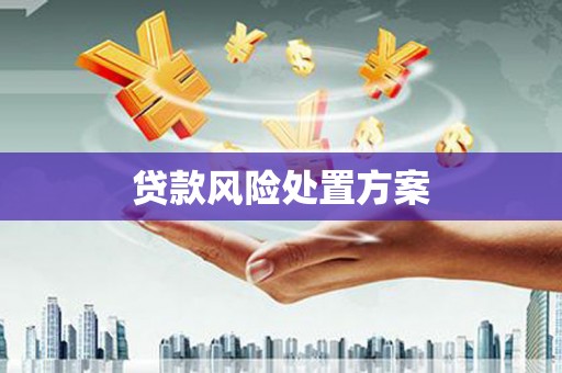 施秉贷款风险处置方案