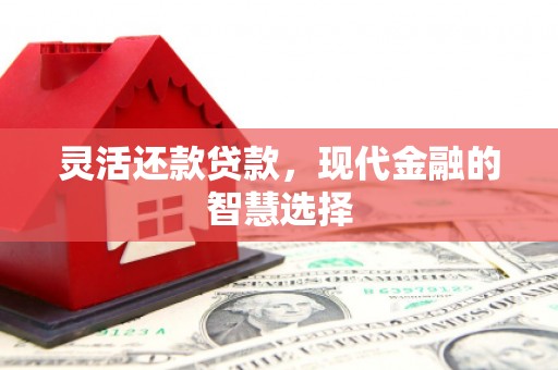 施秉灵活还款贷款，现代金融的智慧选择
