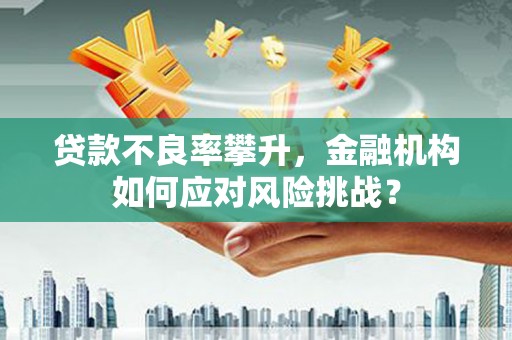 施秉贷款不良率攀升，金融机构如何应对风险挑战？