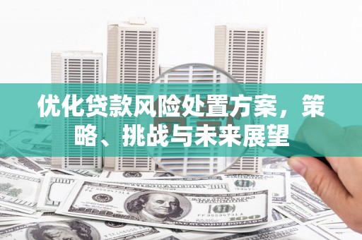 施秉优化贷款风险处置方案，策略、挑战与未来展望
