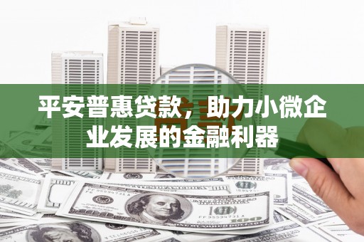 施秉平安普惠贷款，助力小微企业发展的金融利器