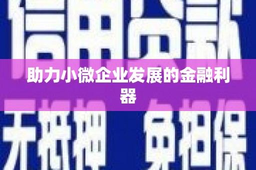 施秉助力小微企业发展的金融利器