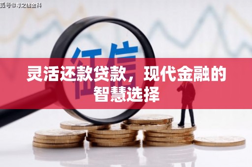 施秉灵活还款贷款，现代金融的智慧选择