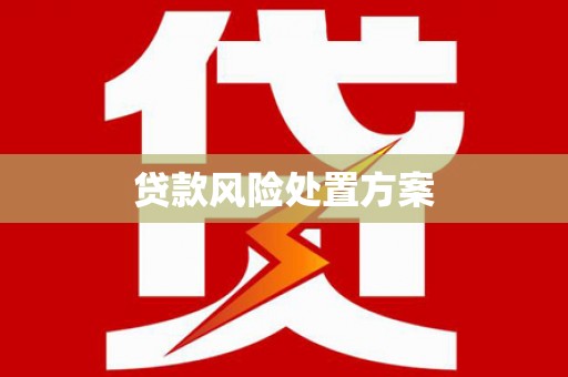 施秉贷款风险处置方案
