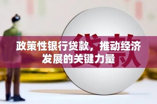 施秉政策性银行贷款，推动经济发展的关键力量