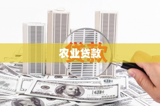 施秉农业贷款