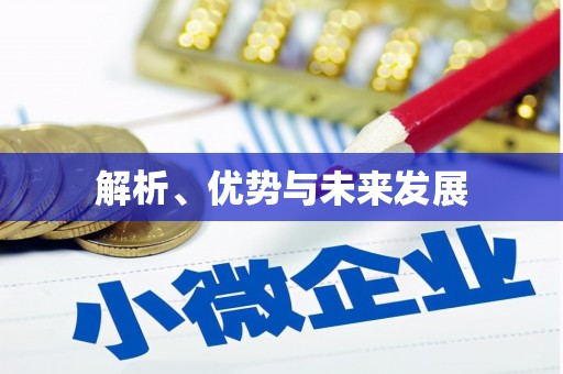 施秉解析、优势与未来发展