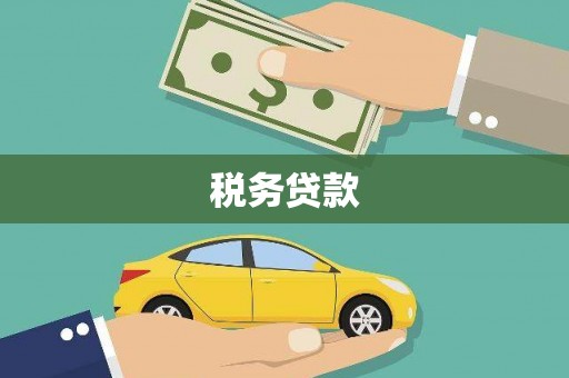 施秉税务贷款