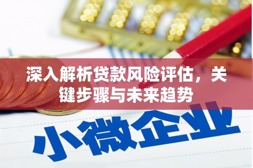 施秉深入解析贷款风险评估，关键步骤与未来趋势