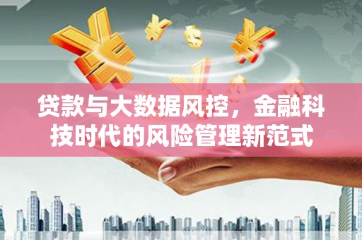 施秉贷款与大数据风控，金融科技时代的风险管理新范式