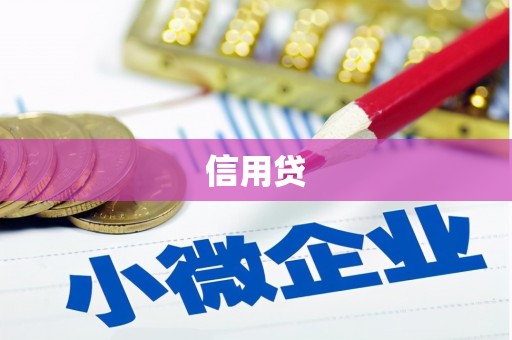 施秉信用贷
