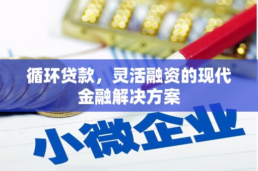 施秉循环贷款，灵活融资的现代金融解决方案