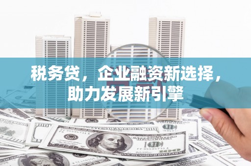 施秉税务贷，企业融资新选择，助力发展新引擎