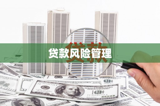 施秉贷款风险管理