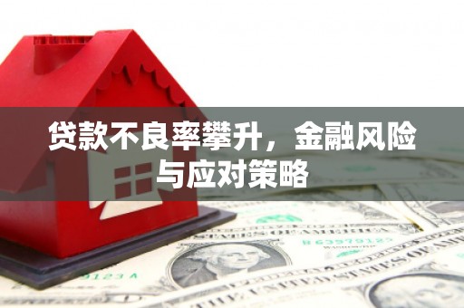 施秉贷款不良率攀升，金融风险与应对策略
