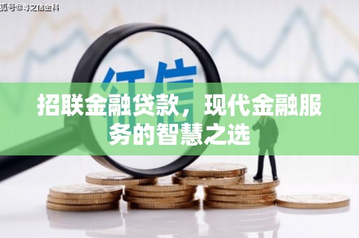 施秉招联金融贷款，现代金融服务的智慧之选