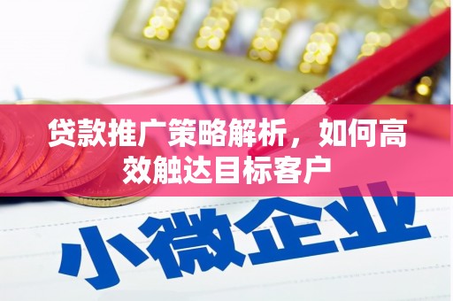 施秉贷款推广策略解析，如何高效触达目标客户