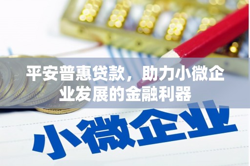 施秉平安普惠贷款，助力小微企业发展的金融利器