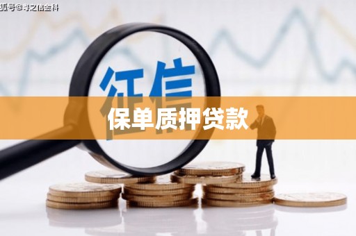 施秉保单质押贷款