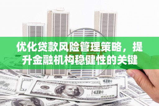 施秉优化贷款风险管理策略，提升金融机构稳健性的关键