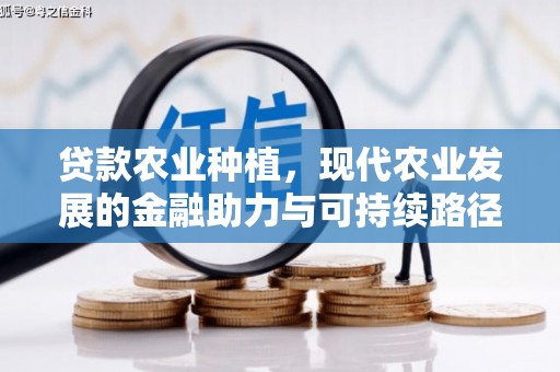 施秉贷款农业种植，现代农业发展的金融助力与可持续路径