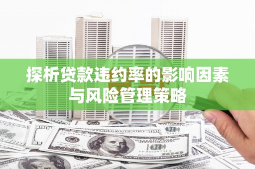 施秉探析贷款违约率的影响因素与风险管理策略