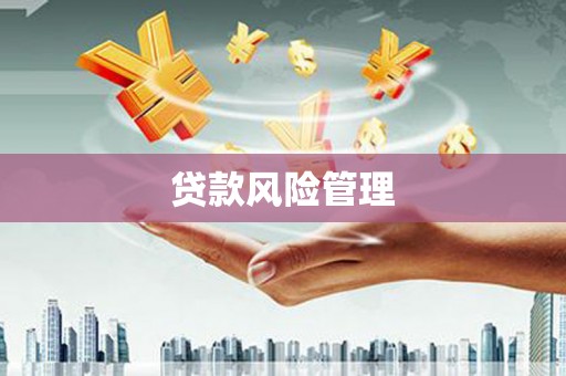 施秉贷款风险管理