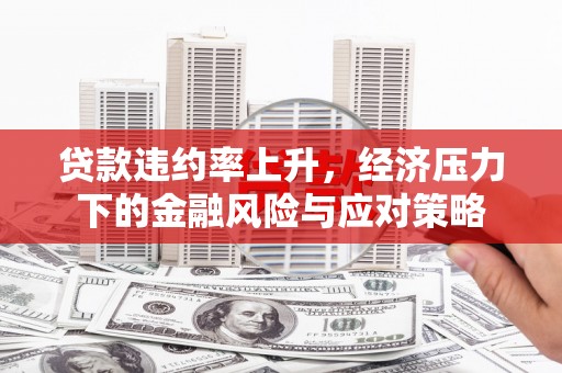 施秉贷款违约率上升，经济压力下的金融风险与应对策略