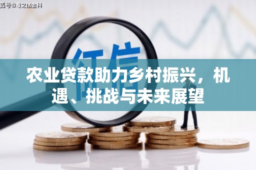 施秉农业贷款助力乡村振兴，机遇、挑战与未来展望