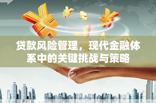 施秉贷款风险管理，现代金融体系中的关键挑战与策略