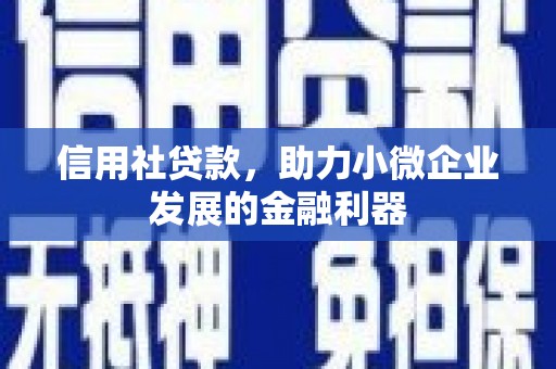 施秉信用社贷款，助力小微企业发展的金融利器