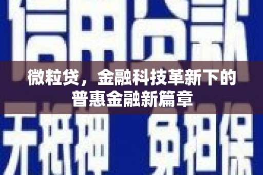 施秉微粒贷，金融科技革新下的普惠金融新篇章