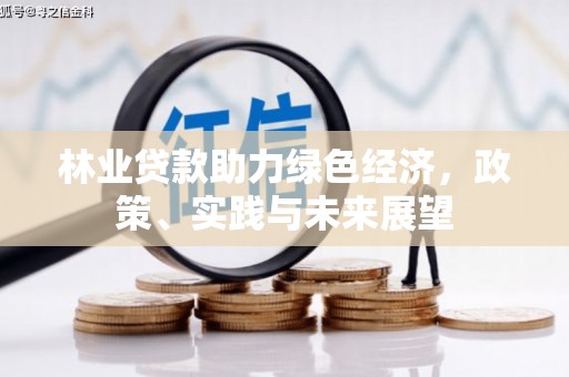 施秉林业贷款助力绿色经济，政策、实践与未来展望