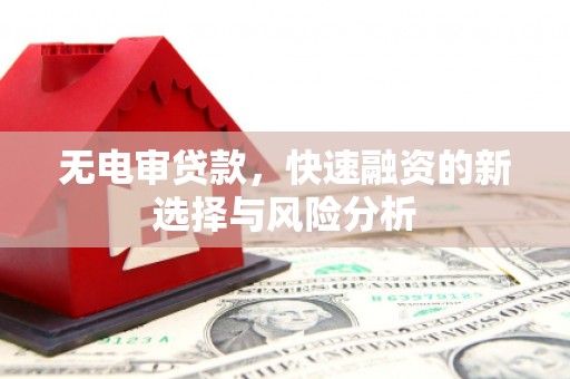 施秉无电审贷款，快速融资的新选择与风险分析